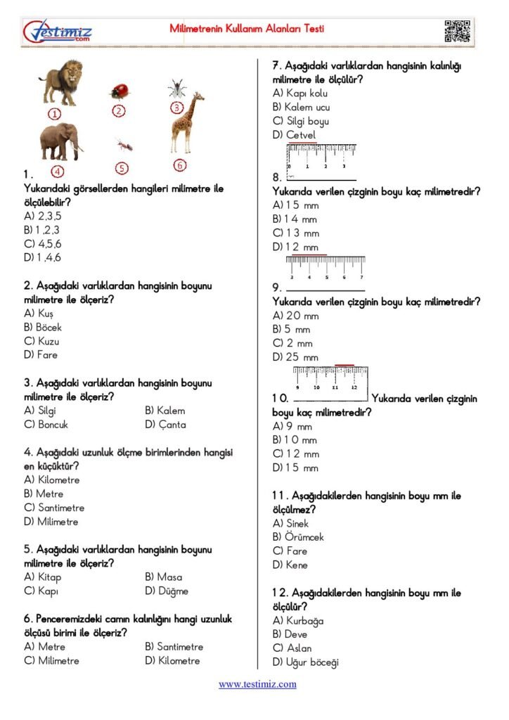 4. Sınıf Milimetrenin Kullanım Alanları Testi PDF