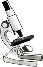 5. Sınıf Fen Bilimleri Mikroskop Yapısı ve İşlevi  Testi – Online Çöz